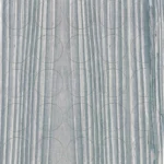 Zaślepki samoprzylepne fi 14mm 139 Hikora montreal FOLMAG