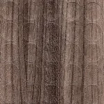 Zaślepki samoprzylepne fi 14mm 866 Wiąz baron trufel FOLMAG